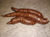 maniok002.jpg